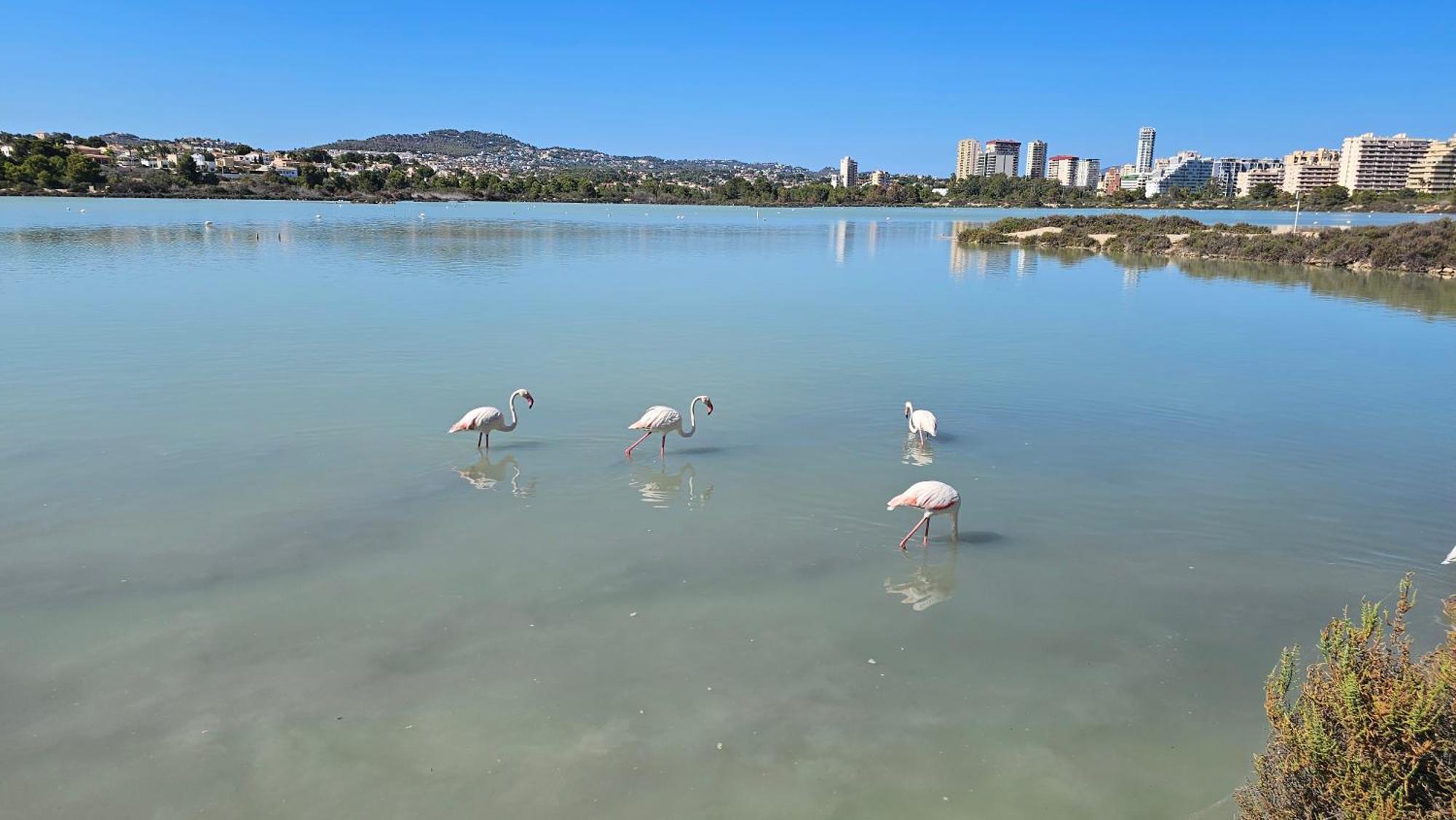 Apartamentos Esmeralda 111B Κάλπε Εξωτερικό φωτογραφία